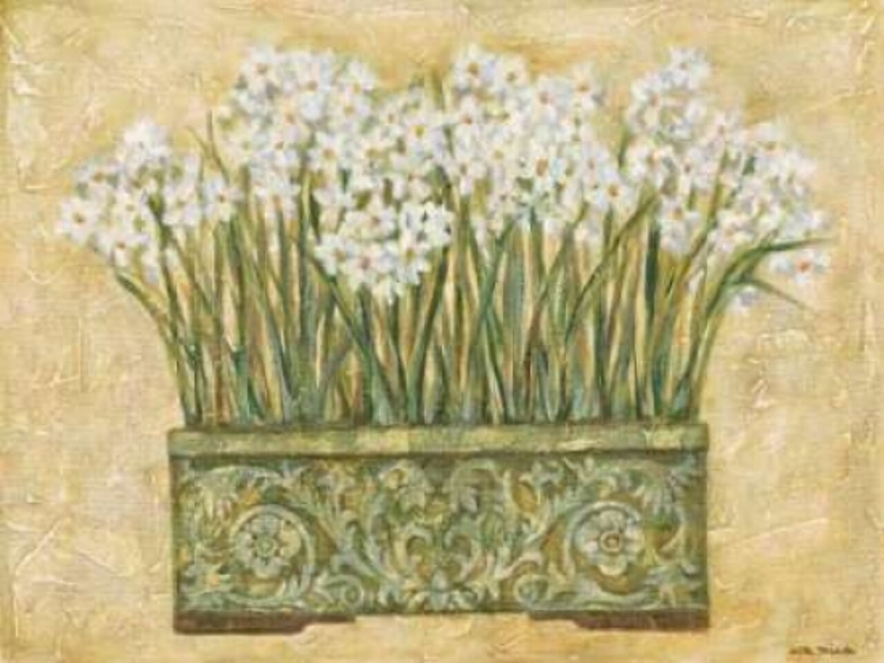 White Narcissus Poster Print by Eva Misa - Item # VARPDXMSA014